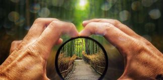 Le Créateur – Perspective