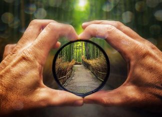 Le Créateur – Perspective