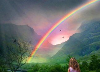 Le Créateur – Tout se passera bien