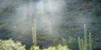 La paix… même maintenant