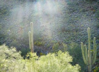 La paix… même maintenant