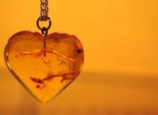 Cristal d’Ambre Fossilisé