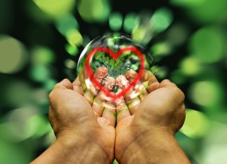 Marie – L’être choisit la Lumière