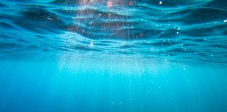 La lutte est irréelle