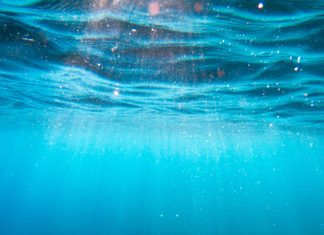 La lutte est irréelle