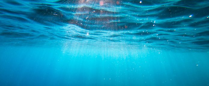 cristian-palmer-xexawgzyobc-unsplash-edited