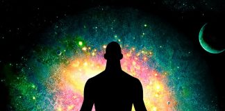 Le Créateur – Quelle direction prendre…