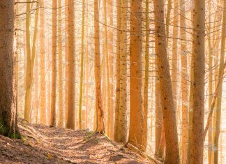 Permettre le vrai « Vous »