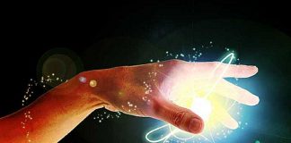 Le Créateur – Protocole d’engagement