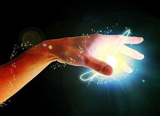 Le Créateur – Protocole d’engagement