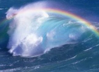 Le Créateur – Tellement de choix !