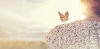 Théré du Conseil des Pléiades