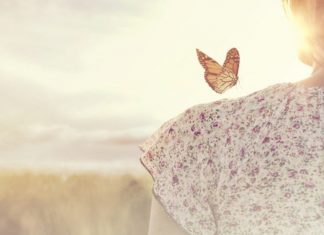 Théré du Conseil des Pléiades