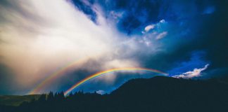 Le monde entier est une scène