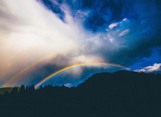 Le monde entier est une scène