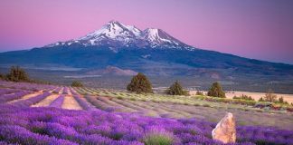 Archange Uriel – Un temps de Lumière Élargie