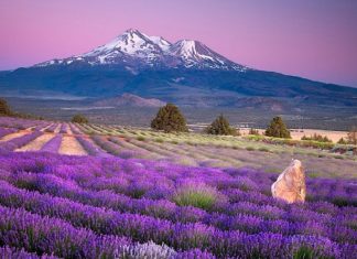 Archange Uriel – Un temps de Lumière Élargie