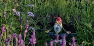 Méditation sur une personne ou un lieu