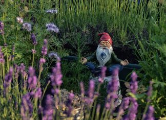 Méditation sur une personne ou un lieu