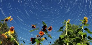 Pardonner pour permettre le Miracle