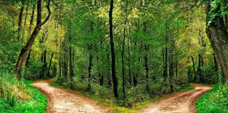 Quel chemin choisirez-vous ?