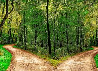 Quel chemin choisirez-vous ?