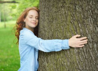 La Reconnexion à la Nature