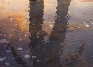 Le Créateur – Tout sauf normal…