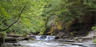 Le Créateur – Un peu de paix