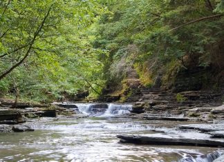 Le Créateur – Un peu de paix