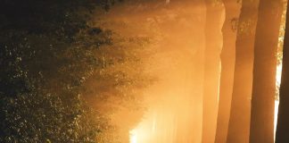 La Lumière donnée et reçue