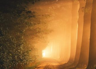 La Lumière donnée et reçue