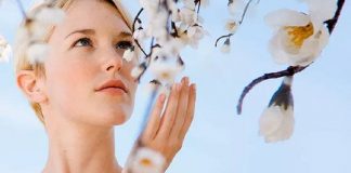 Le Créateur – Tout se passera bien