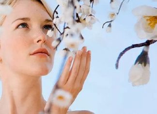 Vos Efforts Portent leurs Fruits