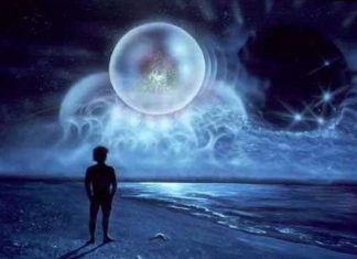 Vous avez la capacité d’effectuer des changements dans les champs morphogénétiques