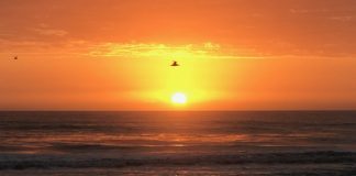 Le Créateur – Gardez Espoir