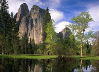 Message de l’Esprit des arbres