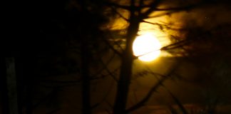 Ce monde-là, ce monde nouveau est déjà existant. Il n’attend que Vous individuellement