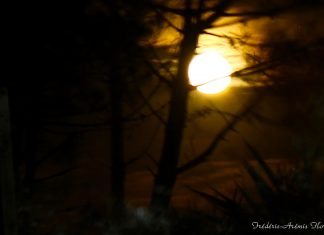 Ce monde-là, ce monde nouveau est déjà existant. Il n’attend que Vous individuellement