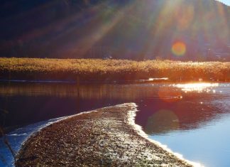 Quel combat doit être mené maintenant ?