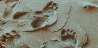 Interrompre l’égo