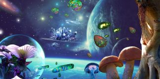 Vous ne voyez qu’un tout petit bout de la Réalité…