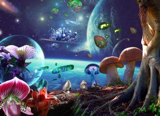 Vous ne voyez qu’un tout petit bout de la Réalité…