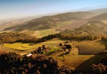 Ce qui se passe si vous sortez en pleine Nature