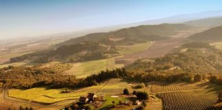 Ce qui se passe si vous sortez en pleine Nature