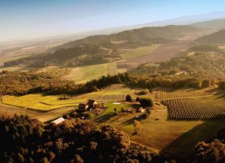 Ce qui se passe si vous sortez en pleine Nature