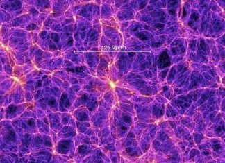 Par le centre de votre Être soyez Conscients d’être connectés….