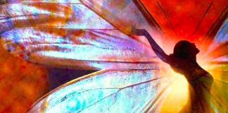 Le Créateur – Le changement est en cours…