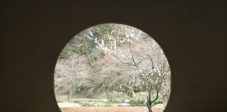 Mère Divine : À tous mes enfants en situation de maltraitance