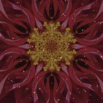 Astrologie Intuitive – Prévisions pour Juin 2020